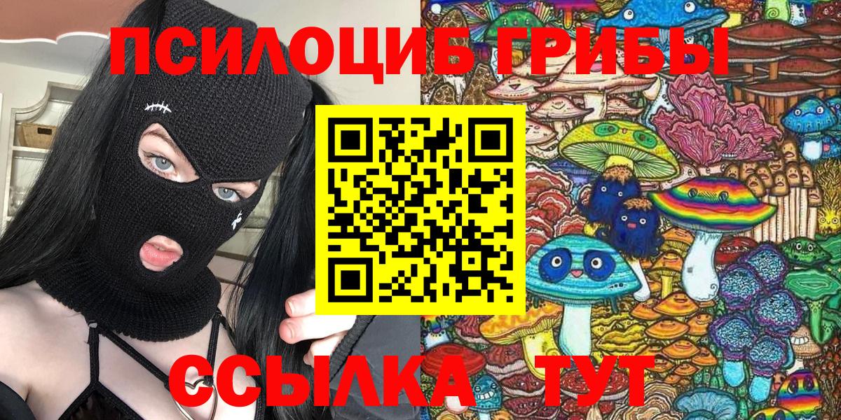 Галлюциногенные грибы MAGIC MUSHROOMS  Вход с VPN  Отрадное  Псилоцибиновые грибы Psilocybine cubensis 